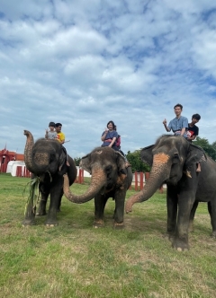 高いところからの景色は最高