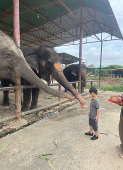 ご飯ください！