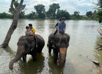 水の中は気持ち良さそう