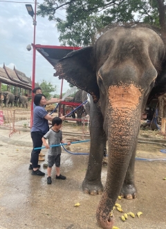 一生懸命ゴシゴシ