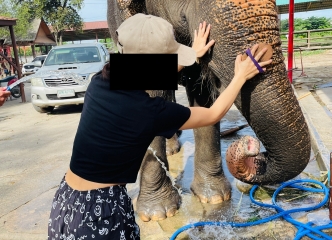 綺麗に磨きます