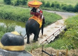 ゾウ乗り。自然たっぷりで癒される景色でした！