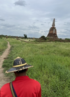 象に乗りながら、景色を楽しめました