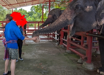 手渡しでごはんを