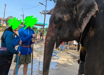 象さんを洗っていきます