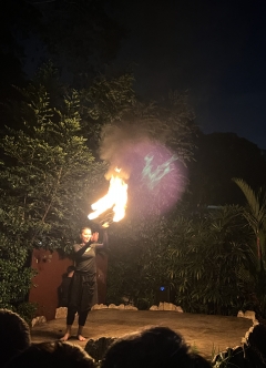 ナイトサファリのショー