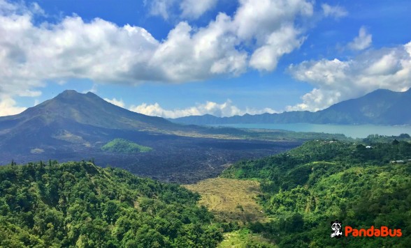 【冬休み早割♪】世界遺産を完全制覇！1日で全ての世界遺産を巡るツアー