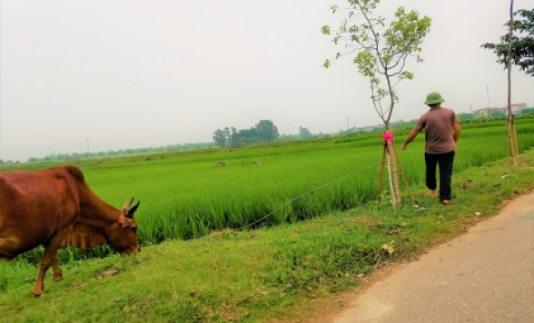 【ハノイ】文化遺産のドゥオンラム村日帰り1日観光ツアー