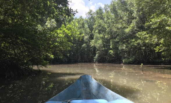 【ホーチミン】カンザー国立公園でマングローブ林クルーズ観光ツアー + ワニ釣り（餌やり）見学