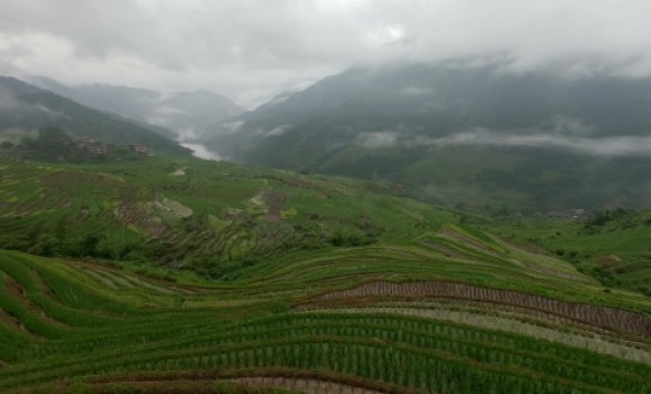 世界自然遺産・桂林でたっぷり4時間の漓江下り＆壮大な龍勝棚田の絶景を味わう 2泊3日＜高速鉄道/食事付き/選べるホテルクラス/日本語ガイド＞