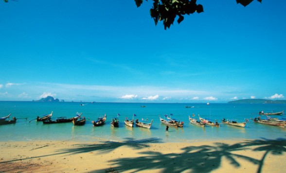 クラビ市内観光　2か所のビーチ+世界でも珍しい貝の化石層+寺院など