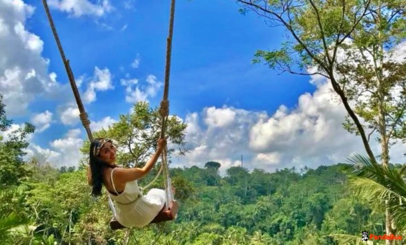 【バリ島】巨大ブランコバリスウィング+ウブド散策