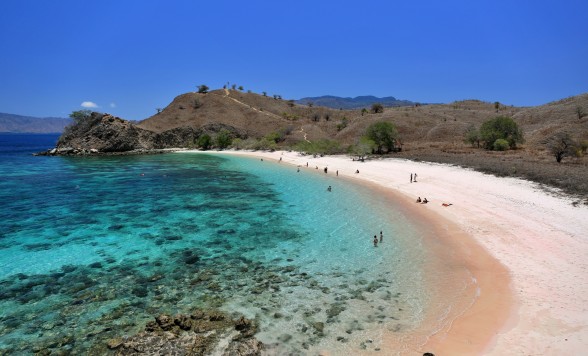 【バリ発】安心の日本語対応‼ コモドドラゴンに会うコモド国立公園2泊3日