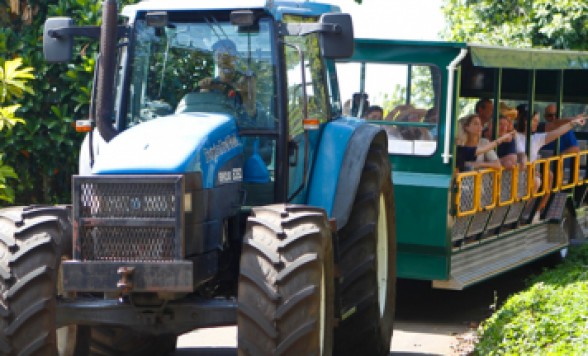 【南国フルーツ満載 】トロピカルフルーツワールド <入場券>