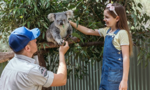 パラダイスカントリー入場チケット