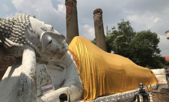 世界遺産アユタヤ遺跡半日観光 + 象乗り体験 + チャオプラヤ川ランチクルーズツアー＜復路クルーズ/タラートノイ地区散策プランあり＞