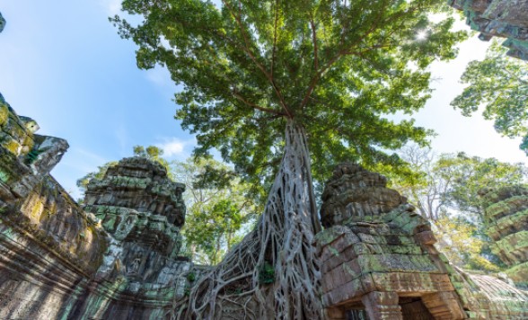 【シェムリアップ】バンテアイスレイ+タプロム+アンコールワット遺跡 1日観光　貸切プランあり