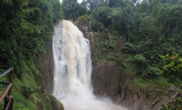 世界自然遺産・カオヤイ国立公園＋象乗りトレッキング 自然満喫
