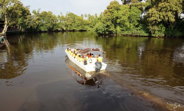 【コタキナバル発】ジャングル・リバークルーズ＆ホタル・ウォッチング