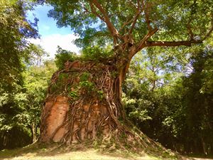 サンボー・プレイクックの観光