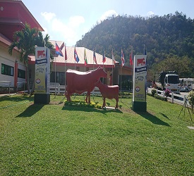 サラブリ県「タイ・デンマーク」ファーム到着