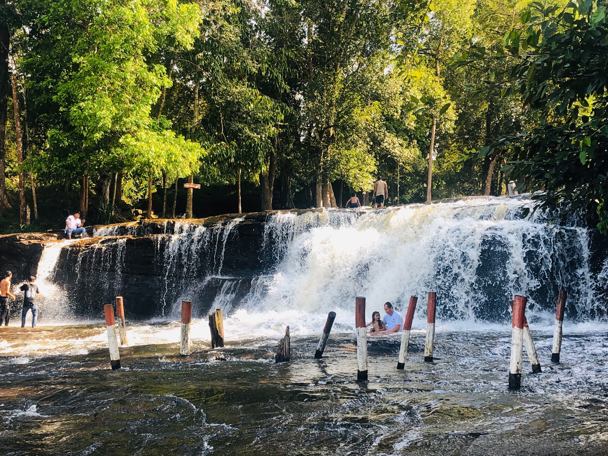 自然豊かな森の中へ。ウォーキング・コースのスタート。