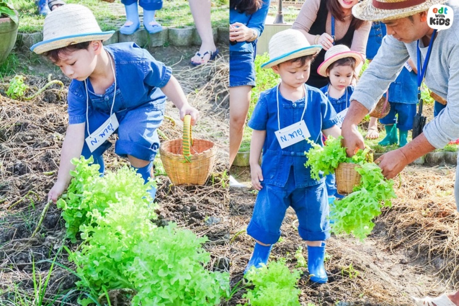 楽しく安全・安心な農作業体験