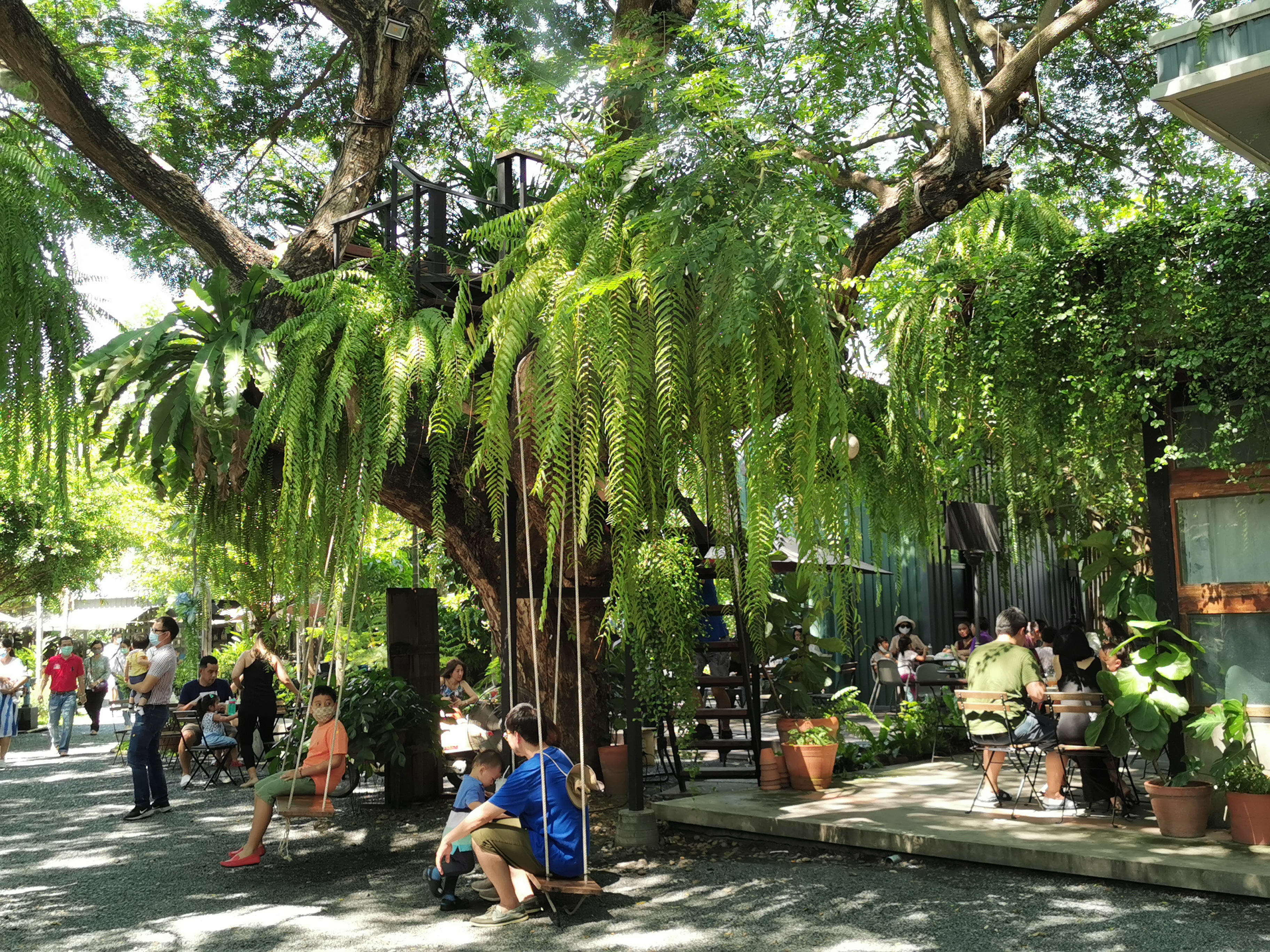 バーン 1,000 マイ カフェ＆ファーム 到着