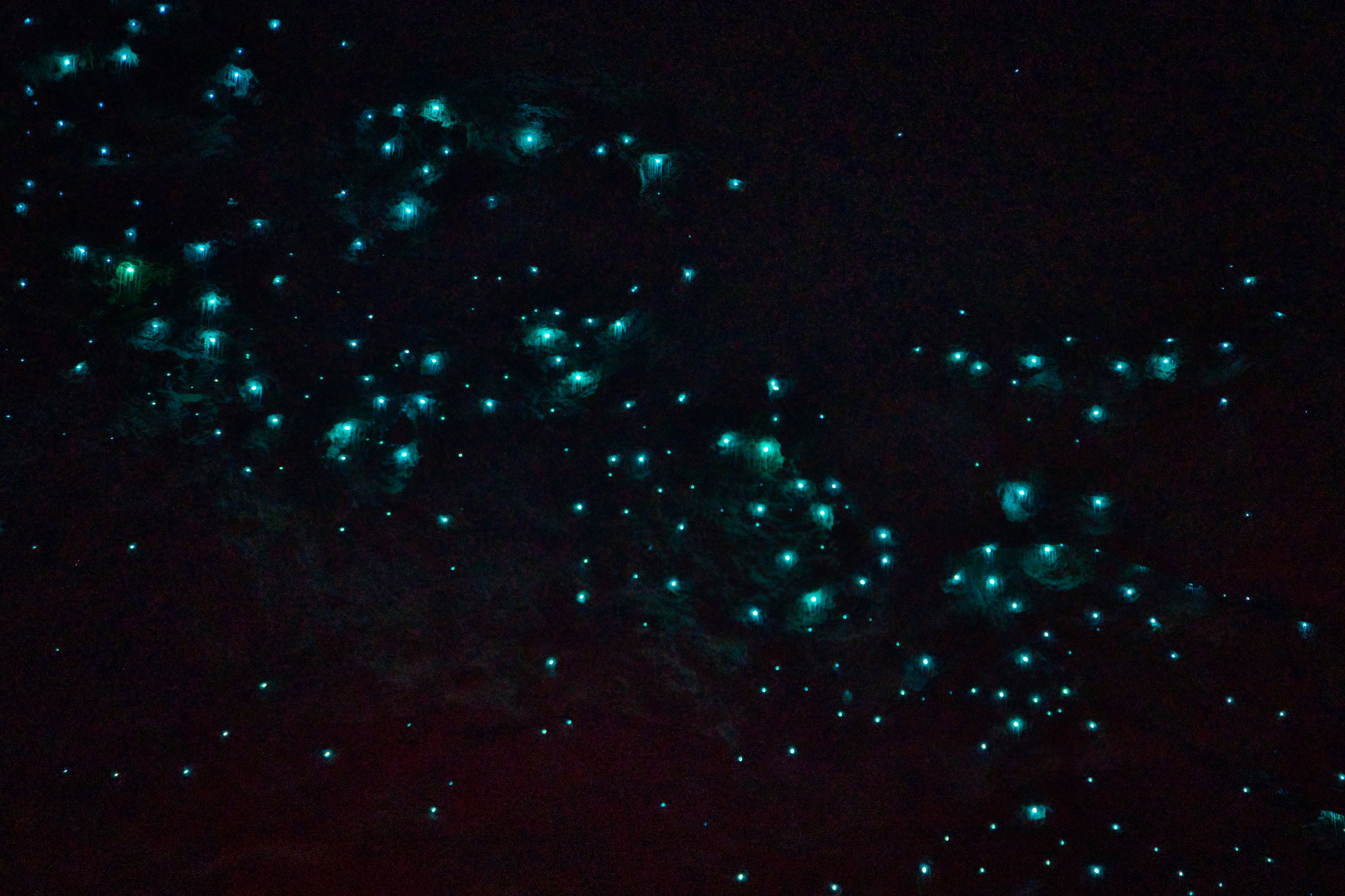 世界遺産指定ナチュラルブリッジ国立公園訪問