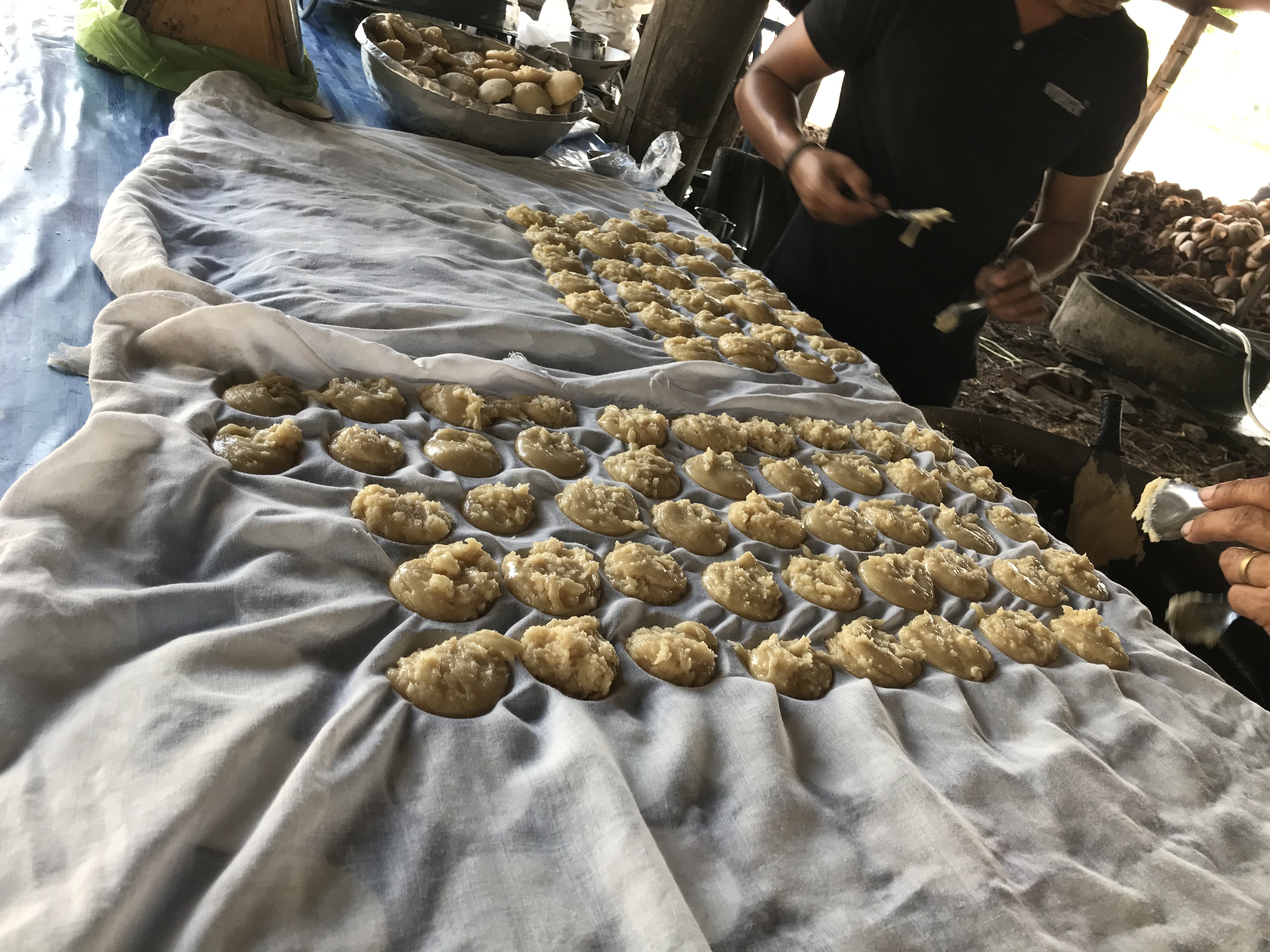 ココナッツファームにて、ヤシの実から作るココナッツシュガーの精製方法を見学