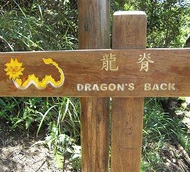 ハイキング スタート