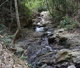 コリンソン山麓の小川を眺めながらのラストスパート