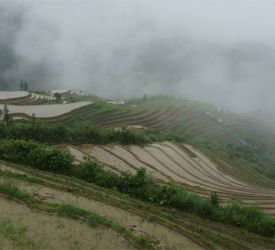 １つめの棚田、《平安壮族梯田》へご案内