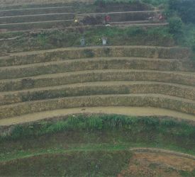 ３つめの棚田、《龍背古壮寨梯田》へご案内