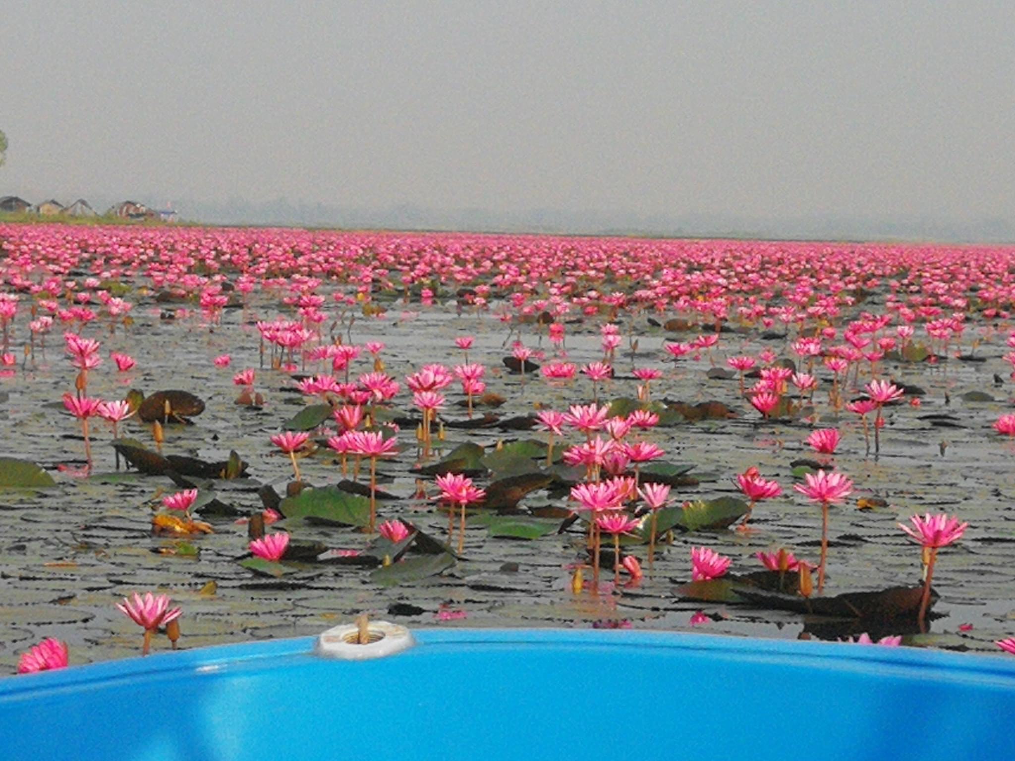 スピードボートで紅く染まった湖をクルージング