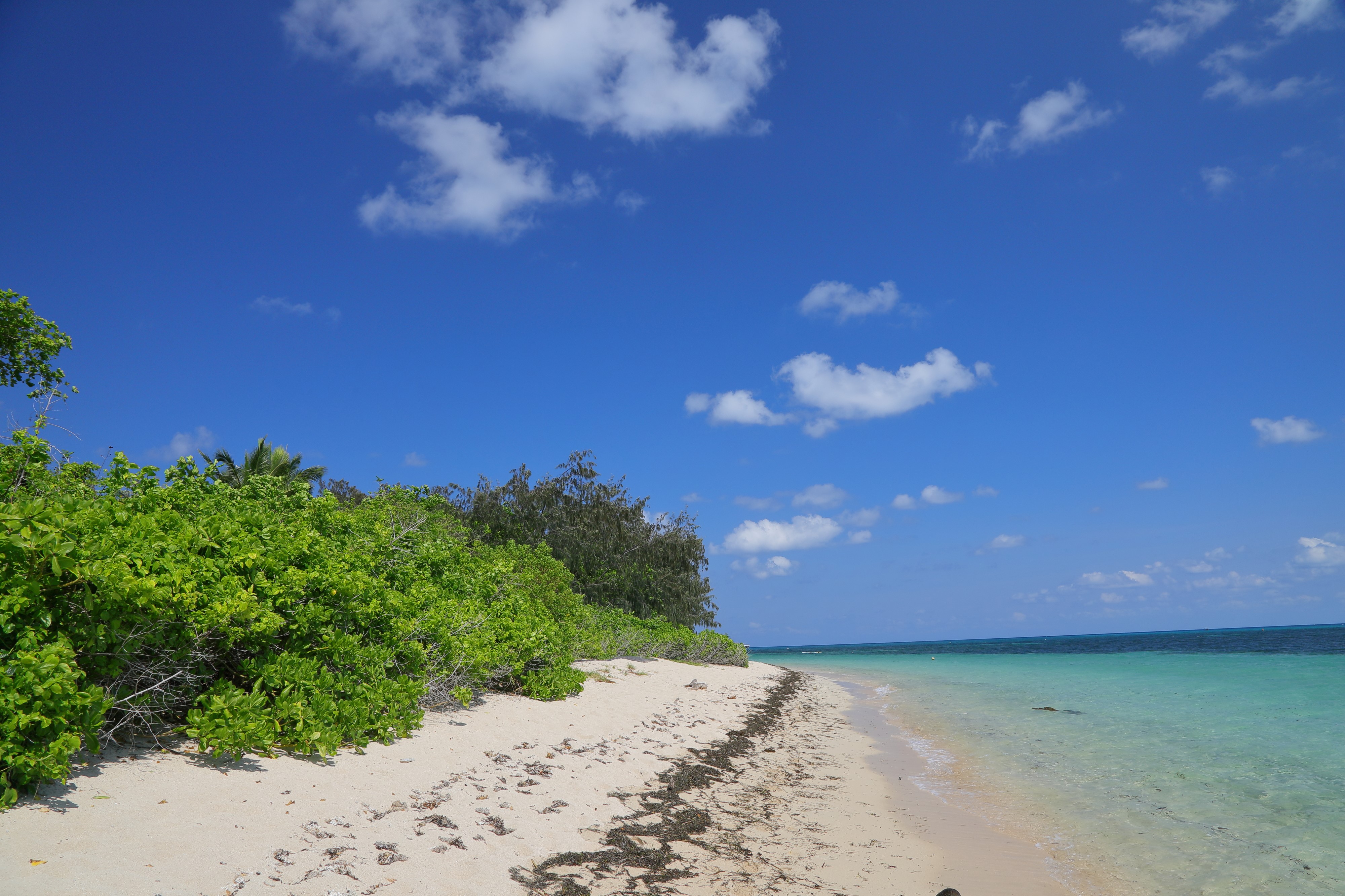 グリーン島到着