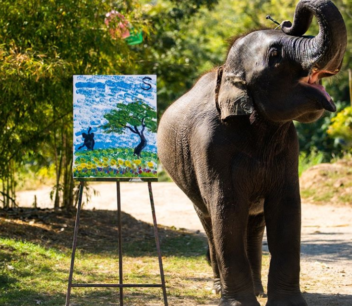象の数々のパフォーマンスを見学後、象乗り体験