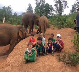 エレファントキャンプにて、バイキングのご昼食