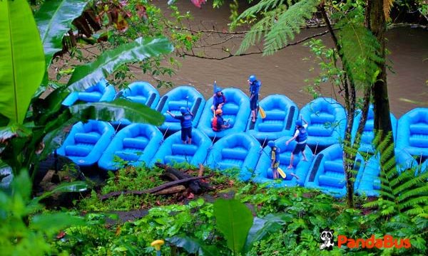 ラフティング終了、シャワー・着替えの後、ビュッフェの昼食