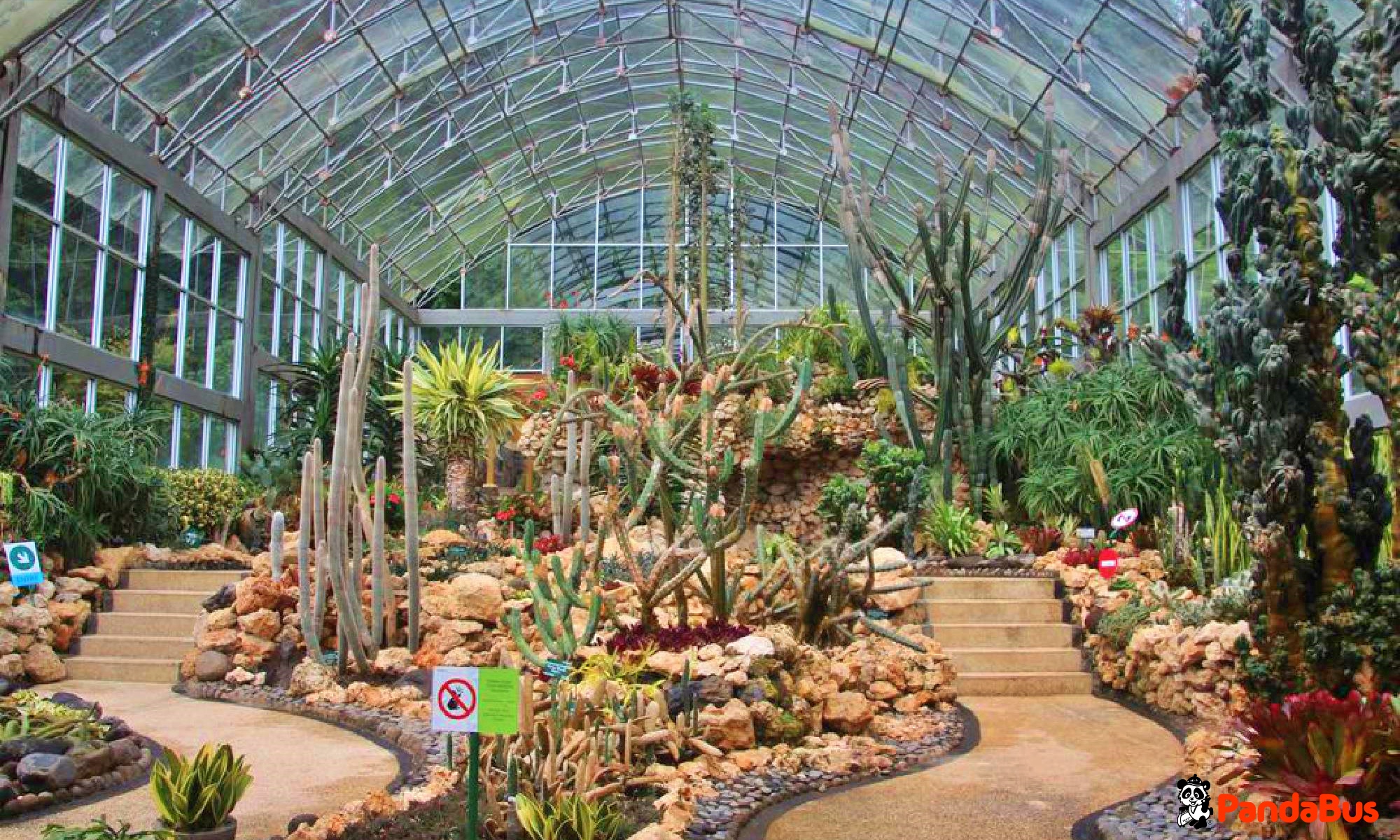 クブンラヤ植物園