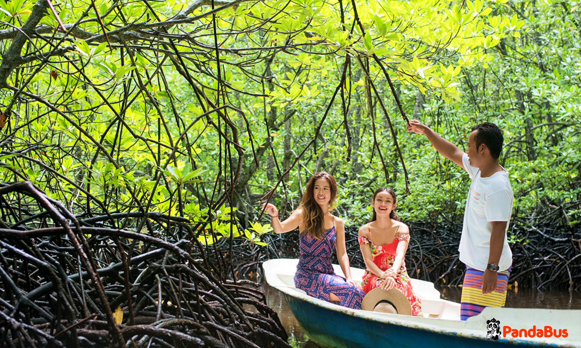 【ジャングルクルーズ】小船に乗ってマングローブの森を探検！ 奇跡の植物「マングローブ」に関して、わかりやすくご説明いたします。