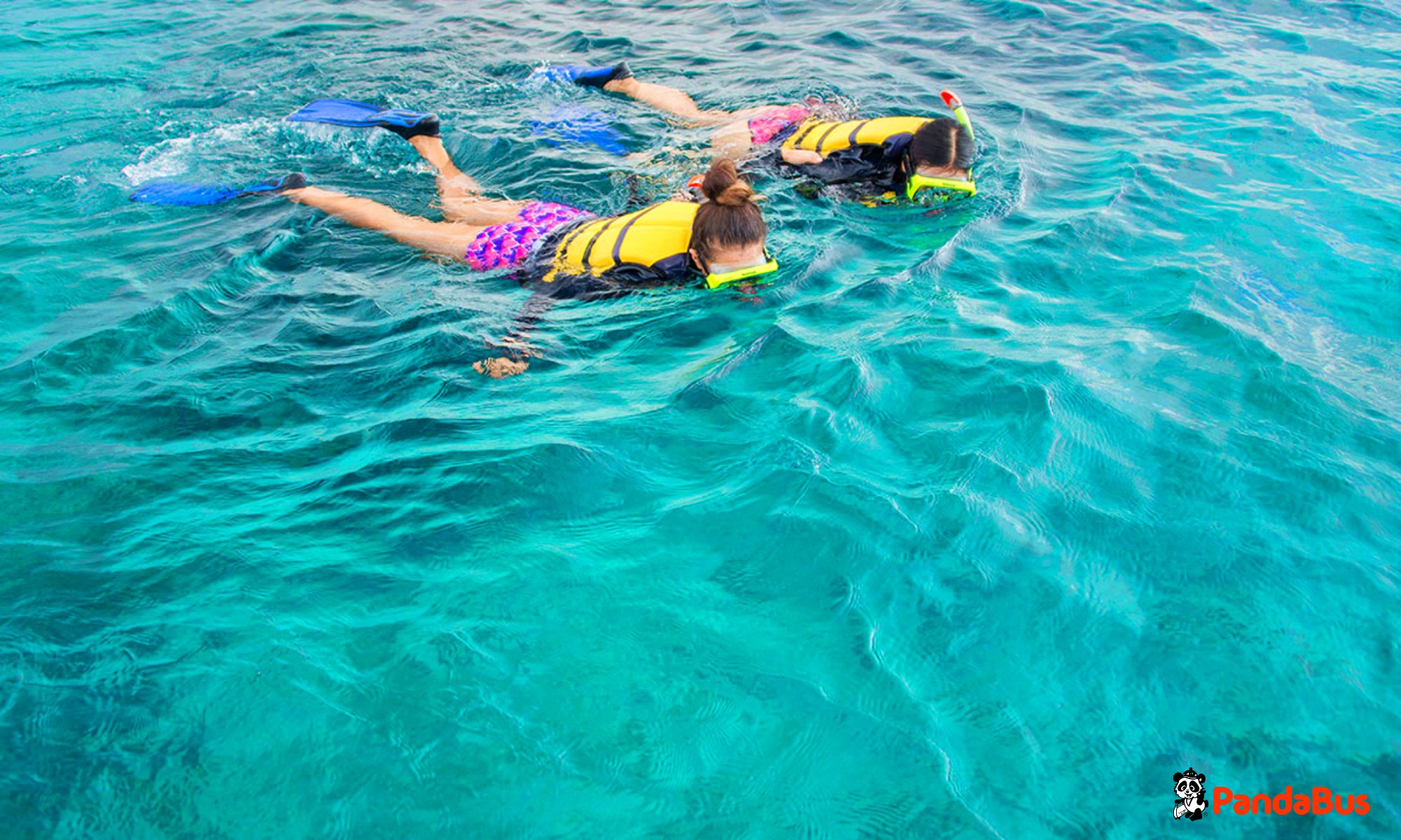 マングローブの森を抜け青く澄んだ海が広がるシュノーケリングポイントへ！サンゴ礁の海にてドリフトシュノーケリング。（ボートで約10分、シュノーケリングポイント移動。３０~４０分シュノーケリングをお楽しみいただきます。）