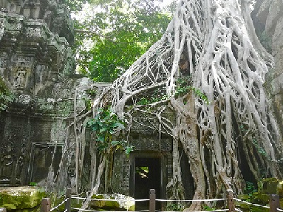 タプロム寺院見学