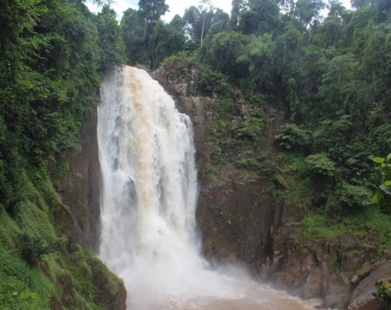 世界自然遺産・カオヤイ国立公園＋象乗りトレッキング 自然満喫