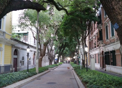 中国三大都市・広州を知る、新旧見どころ充実の広州市内新名所１日ツアー＜終日/高速鉄道/昼食付き/日本語ガイド＞