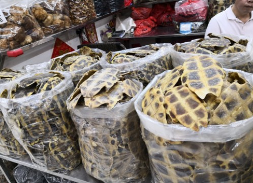 漢方薬問屋街 イメ―ジ