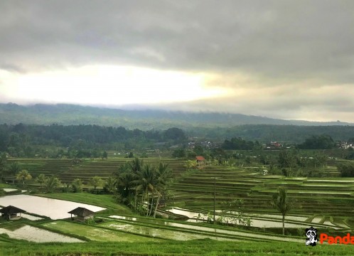 ジャティルウィ