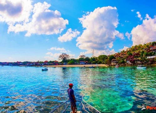 【冬休み早割♪】レンボンガン島 マングローブとシュノーケル