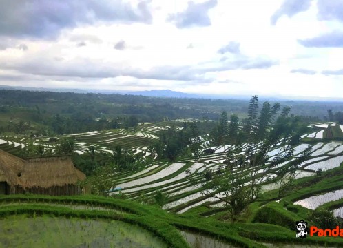 ジャティルウィ