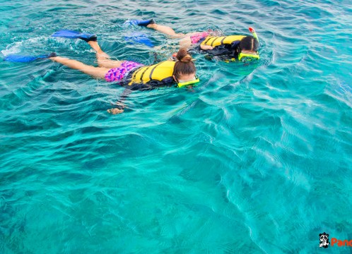 シュノーケリング_02